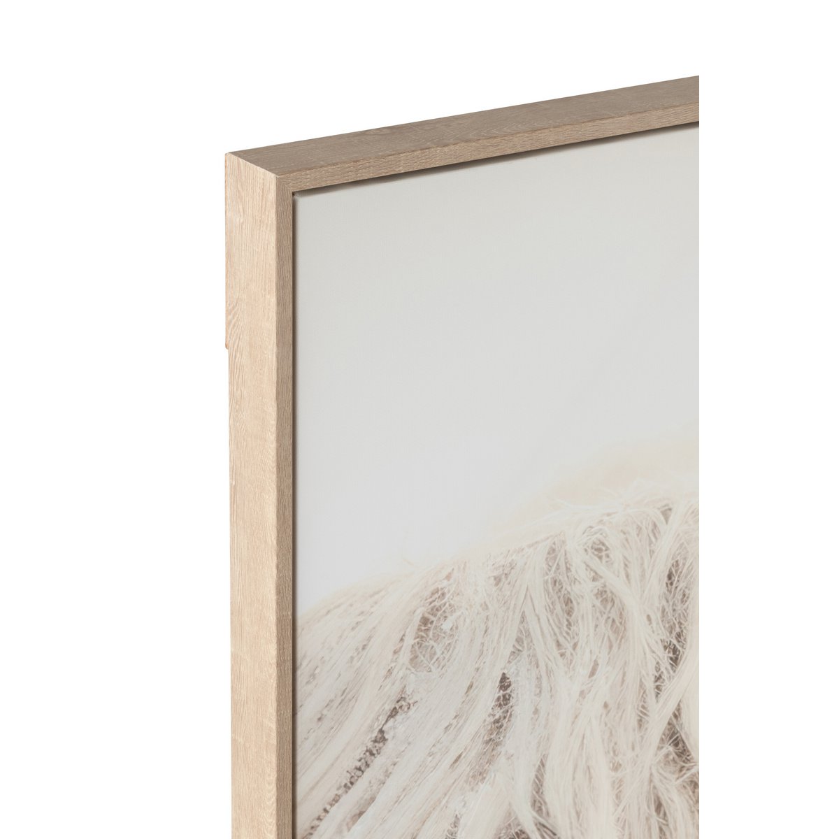 Wanddecoratie Yak Hoofd Hout/Polyresin Wit/Beige
