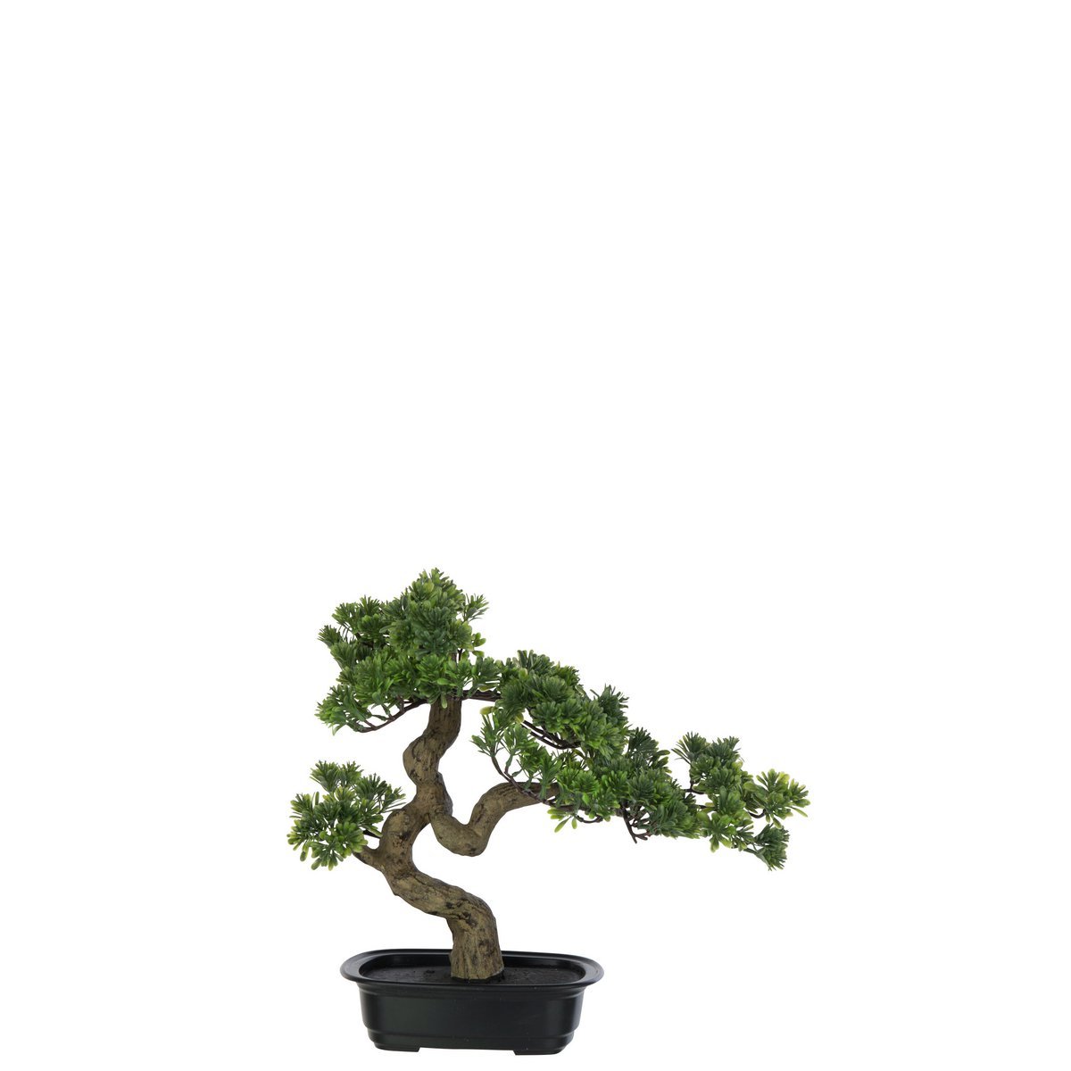 Plant Podocarpus Bonsai - kunststof - groen - small