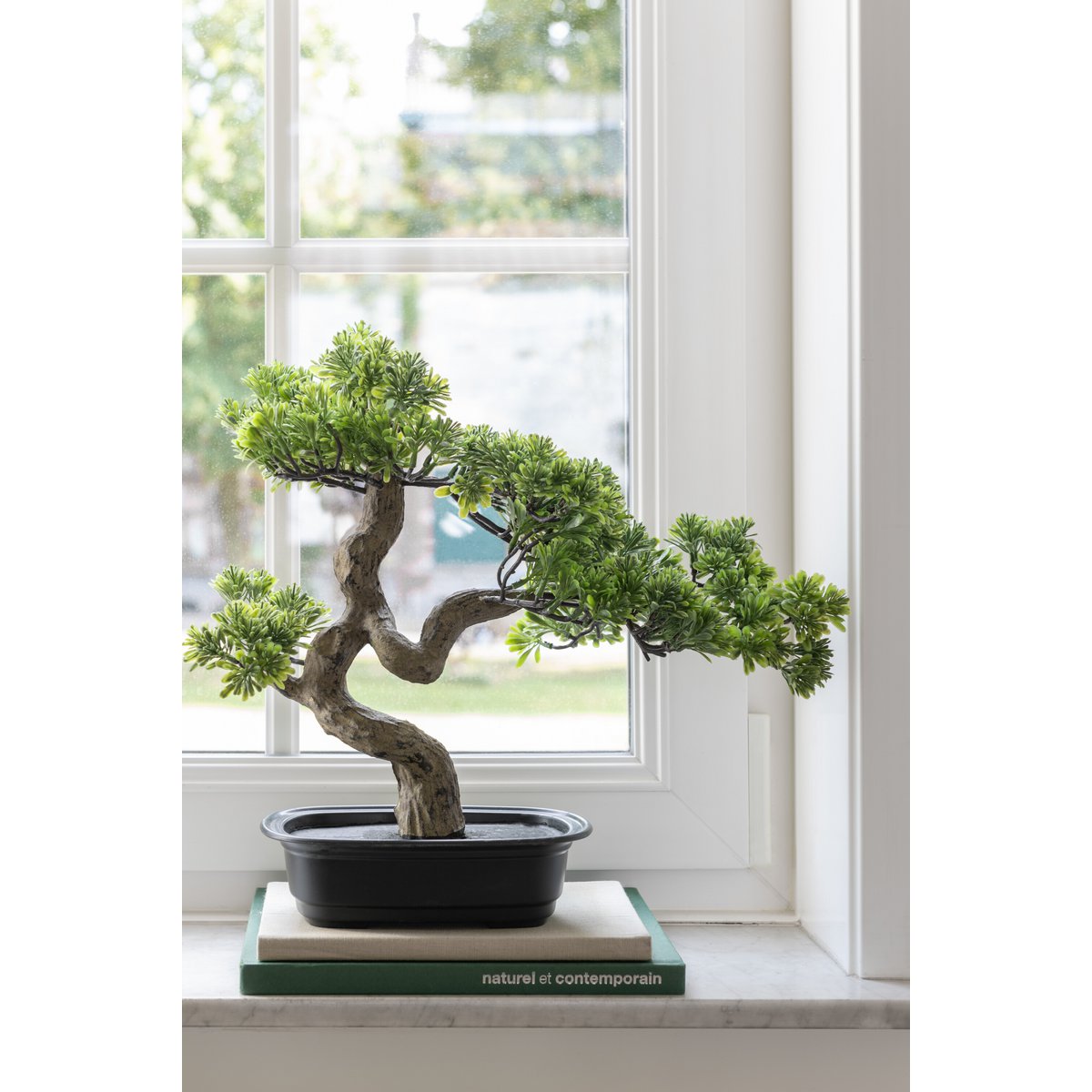 Plant Podocarpus Bonsai - kunststof - groen - small