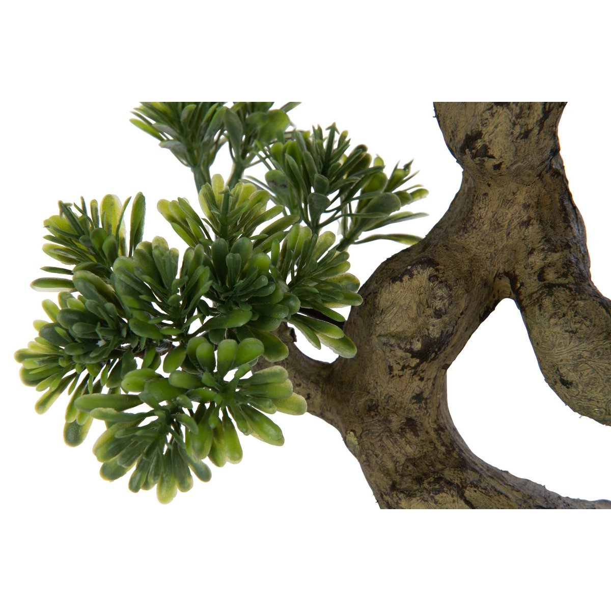 Plant Podocarpus Bonsai - kunststof - groen - small